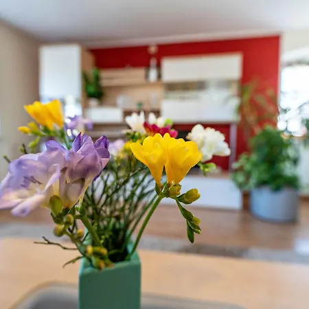 Idyllische Am Pillnitzer Schlosspark Dresde